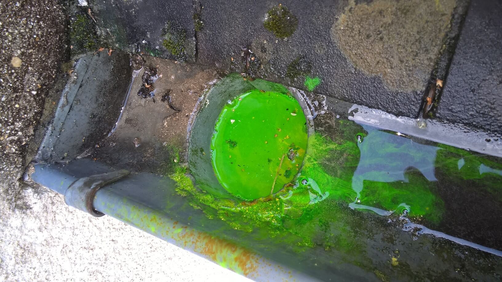 Colorant eau Fluorescéine pour une recherche de fuite d'eau